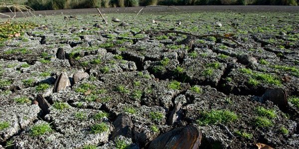 Ε.Ε: μέτρα για την αποκατάσταση του φυσικού περιβάλλοντος 