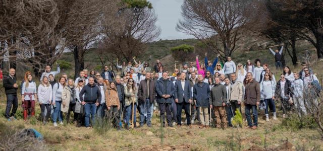 Παπαστράτος: υλοποίηση προγράμματος αναδάσωσης στην Πεντέλη