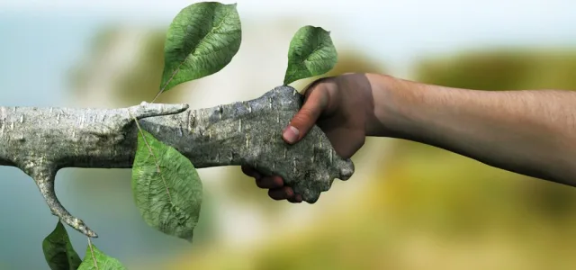 Τι συζητήθηκε στη συνάντηση ΥΠΕΝ- περιβαλλοντικών οργανώσεων