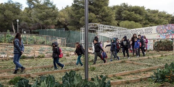 Πετρούπολη: βιολογικός λαχανόκηπος σε εγκαταλελειμμένο δημόσιο χώρο