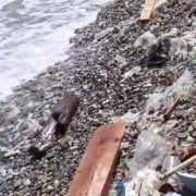 ΕΕ: Ελληνική διάκριση στη μάχη κατά της πλαστικής ρύπανσης