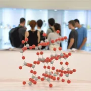 GreenTech Challenge by ESU NTUA: Κυψέλη καινοτομίας, με έμφαση στις πράσινες τεχνολογίες από το ΕΜΠ – Οι όροι, οι προϋποθέσεις  και οι προθεσμίες συμμετοχής στον διαγωνισμό