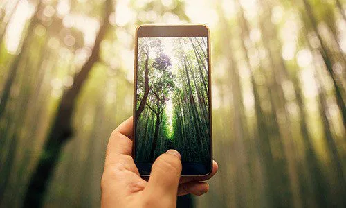 LIFE NATURA THEMIS:  Οι πολίτες με ένα «κλικ» προστατεύουν το περιβάλλον!