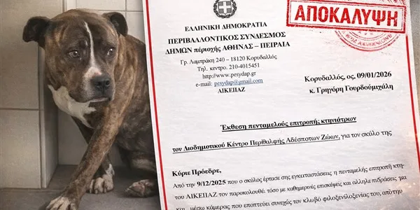 Το πόρισμα για το πιτ μπουλ, που σκότωσε το αγοράκι στη Ζάκυνθο