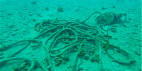 Αργοσαρωνικός: υποβάθμιση των λιβαδιών Ποσειδωνίας από τις ιχθυοκαλλιέργειες