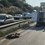 Το πρώτο τροχαίο με αγριογούρουνο στην Αθηνών -Κορίνθου, στο ύψος Χαϊδαρίου!