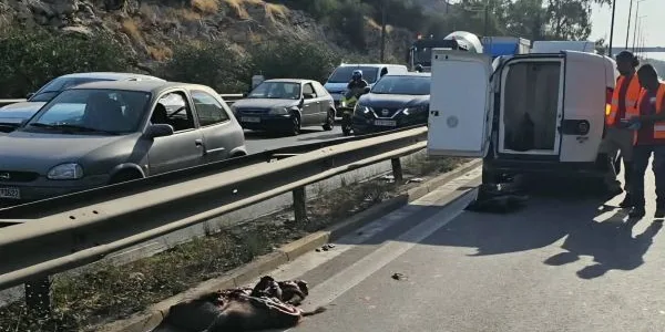 Το πρώτο τροχαίο με αγριογούρουνο στην Αθηνών -Κορίνθου, στο ύψος Χαϊδαρίου!