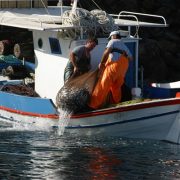 Εντείνονται οι αντιδράσεις για την επιστροφή της αλιείας με βιντζότρατα