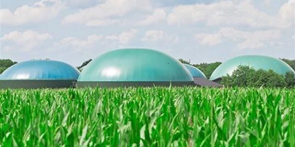 kIEFER: οι μονάδες βιοαερίου αρωγός στην ενεργειακή μετάβαση