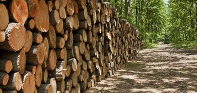 Περισσότερη και φθηνότερη ξυλεία στους κατοίκους των ορεινών περιοχών