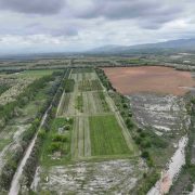 ΔΕΗ: συμμαχίες και δράσεις για την διαχείριση της βιοποικιλότητας